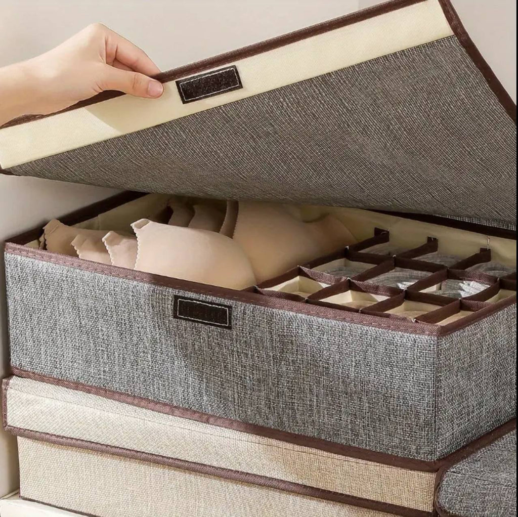 Garment organizer with cover