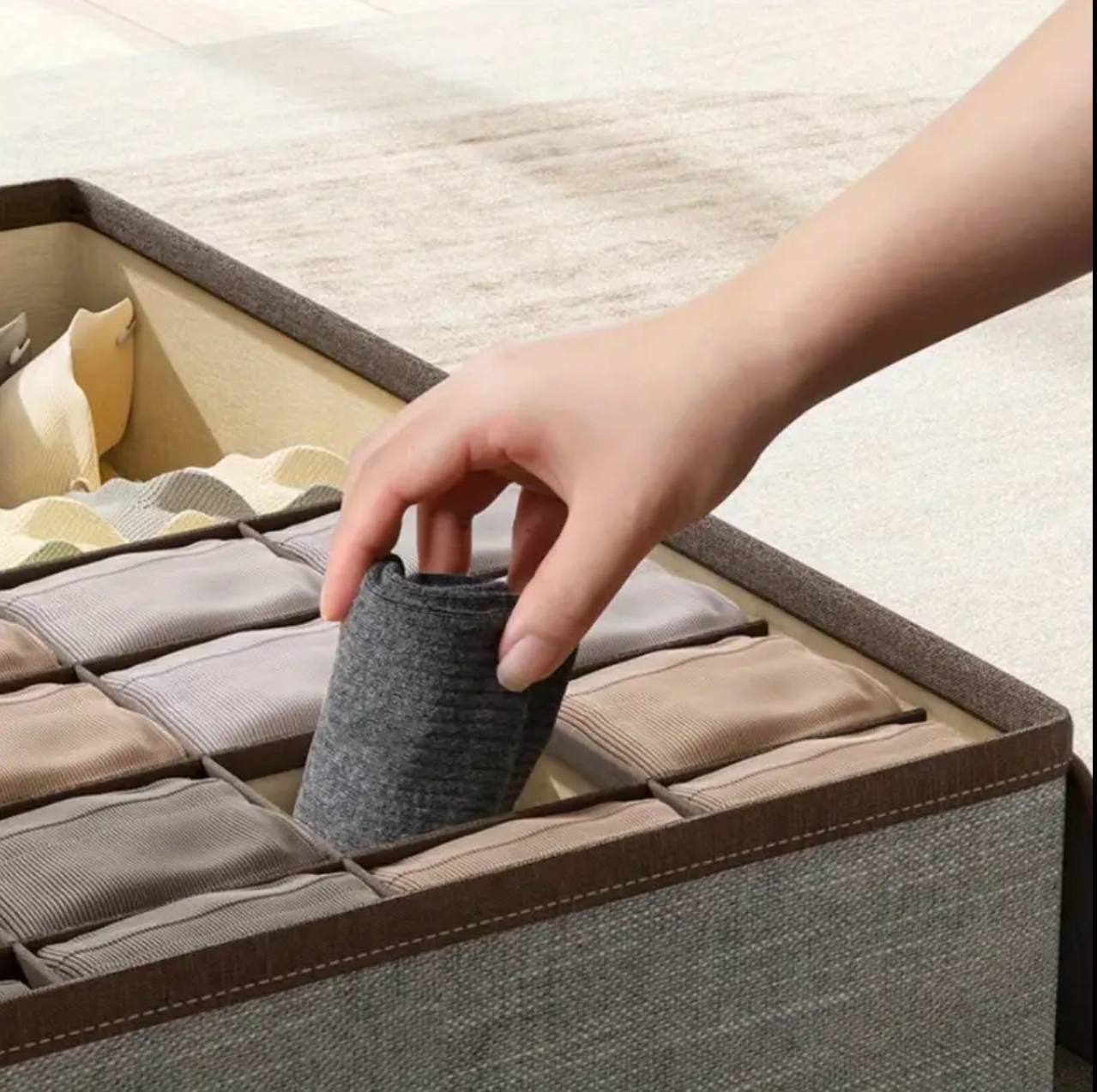 Garment organizer with cover
