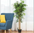 High quality real touch bamboo plants.