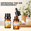 6pc set 100% Pure Natural Aromatherapy Essential Oils