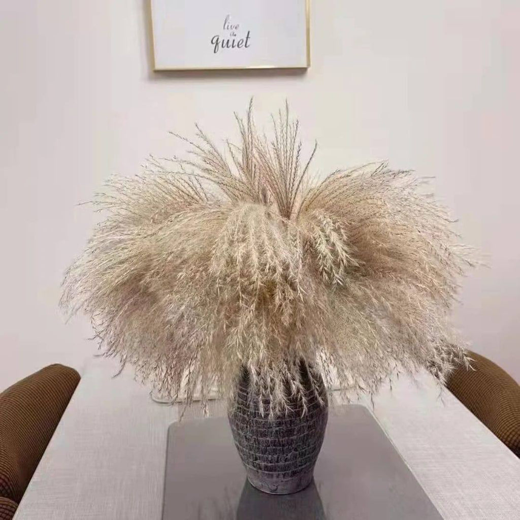 Natural Dried Reed  Decorative Mini Pampas Grass
