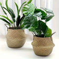 Seagrass Rattan Storage Basket
