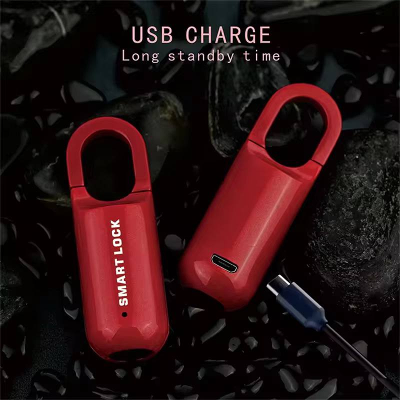 Multifunctional Fingerprint Smart lock