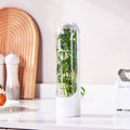 Fresh herbs fridge storage container
