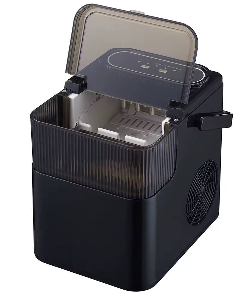 Ice maker