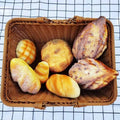 PICNIC  OUTDOOR /SHOPPING BASKET