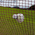 Premium professional badminton net.