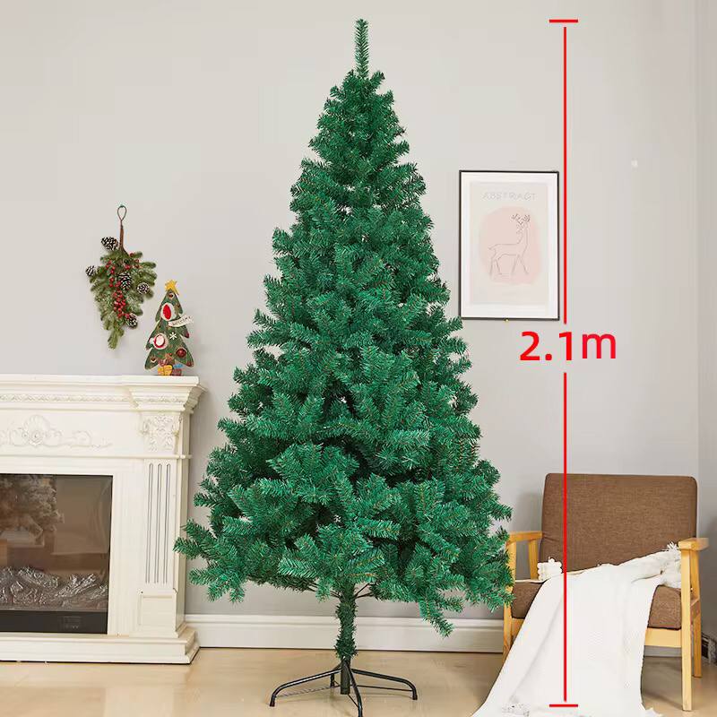 Green cypress Christmas tree