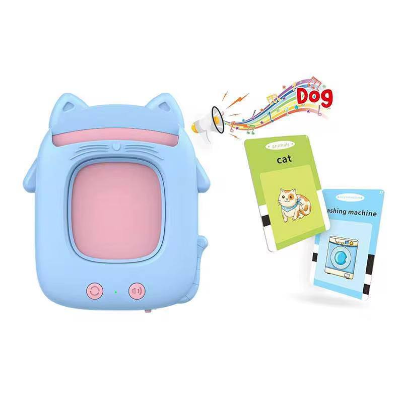 Rechargeable Talking Flashing Card Reader