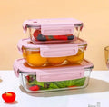 Borosilicate Glass Food Storage Containers with Lids