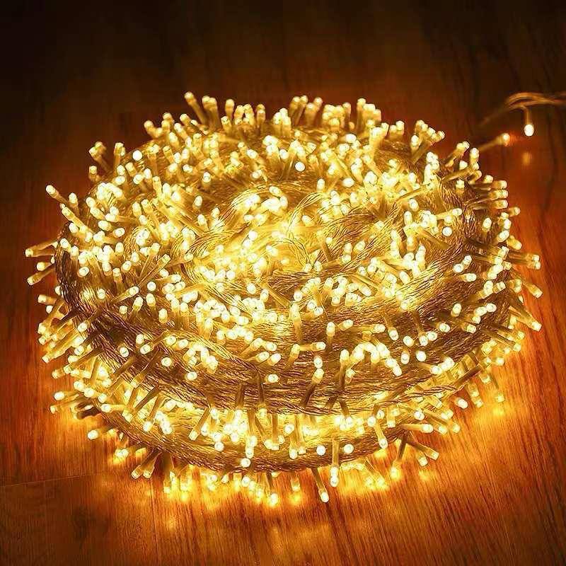 Fairy Christmas lights