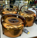 Premium Eco-Friendly insulated Food warmers Casserole..