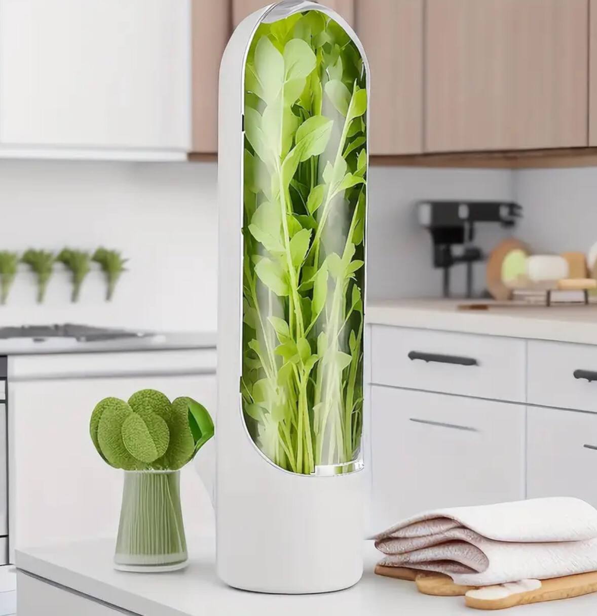 Fresh herbs fridge storage container