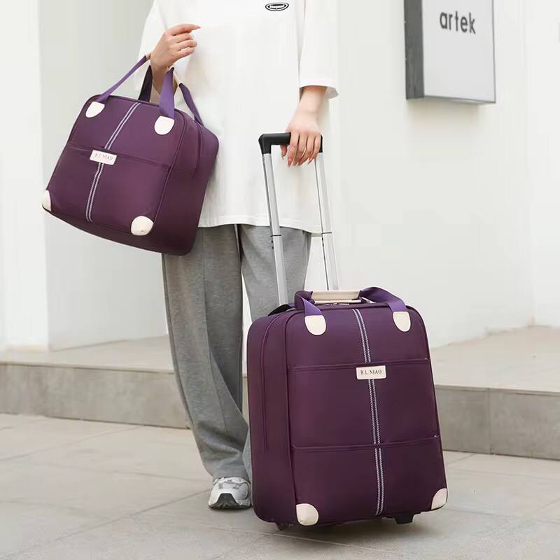2In1 Trolley Bag